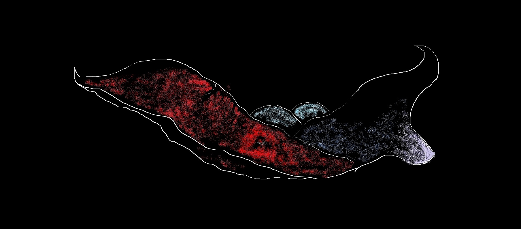 Image #2 of 12: 